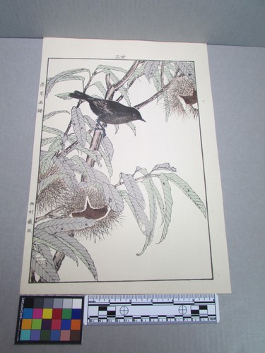 Woodblock print - woodblock,