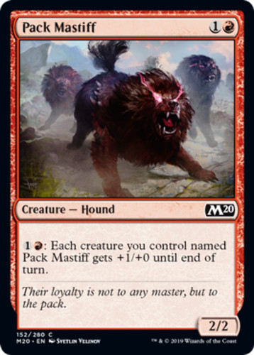 Pack mastiff magic 2020 - -,