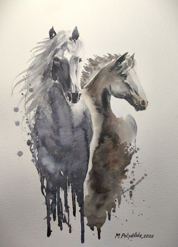 Wild horse mustang animal - wild,