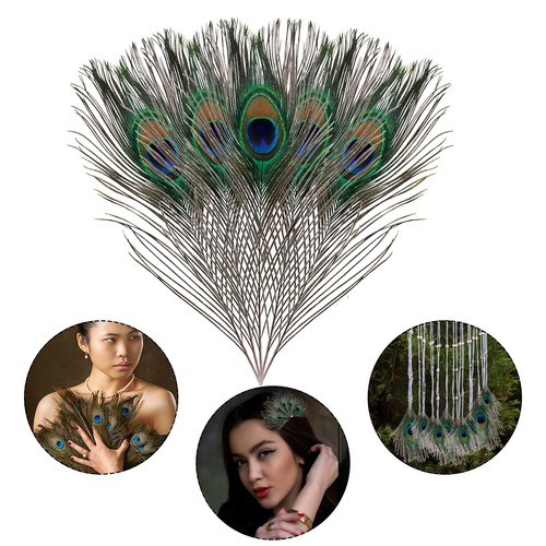100x natural peacock tail - 10-100x,