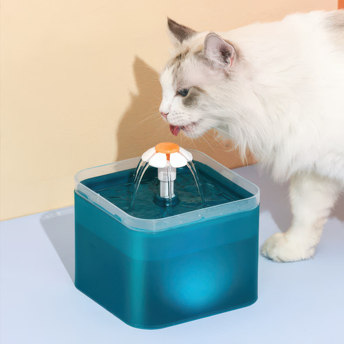 Cat water fountain - water, for