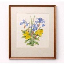 Vintage Watercolour Iris &