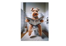 LAKELAND TERRIER DOG BATHROOM