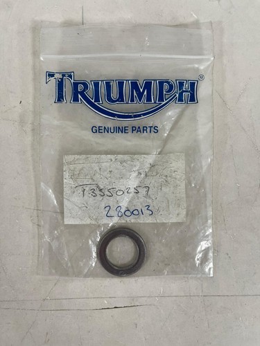 New genuine triumph daytona - new,