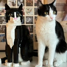 Tuxedo Cat & Lion Animal Building Set – Cute Cartoon Bricks, Fun Puzzle Toy