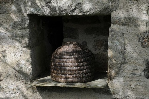 Photo 6x4 bee skep godolphin - bee,