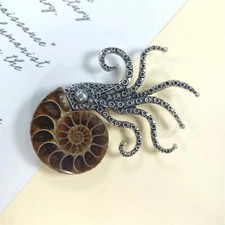 Natural fossil sliced conch - natural,