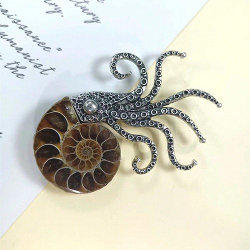 Natural fossil sliced conch - fossil,