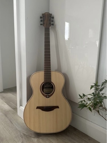 Acoustic guitar - guitar,