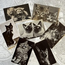 Vintage Postcards Collector