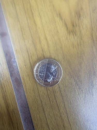Rare bee british - rare,