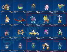 Any Shiny** 6IV Level 100 XXL*