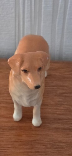 Small golden retriever model