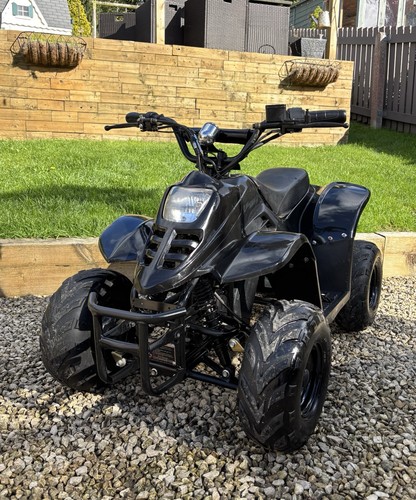 Mini electric quad - mini,