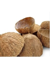 Raw Coconut Shells | New  |