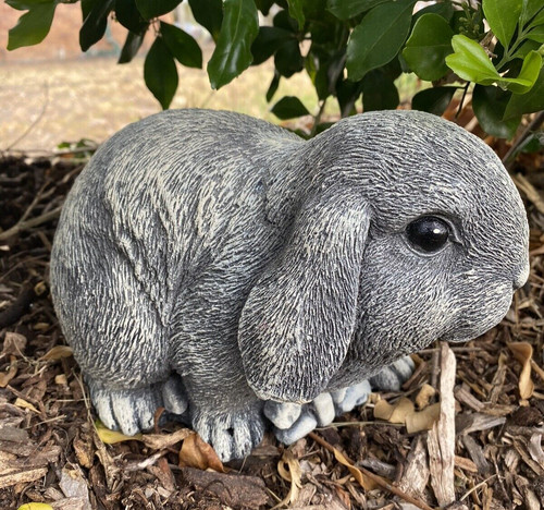 Mini lop rabbit - rabbit, statue