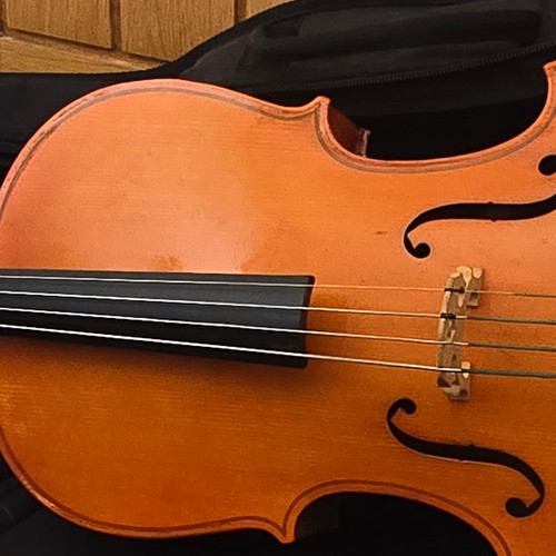 Cello stentor student - cello,