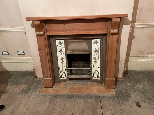 Fireplace insert and wood - and,
