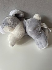 Animal alley bunny rabbit - animal, soft