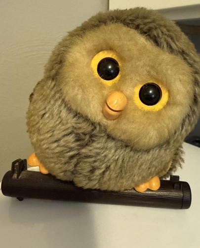 Baby owl singing bird from - owl,