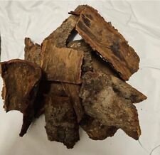 EPO Obo Sticks Ficus