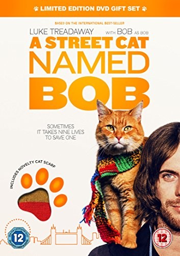 Street cat named bob - cat,