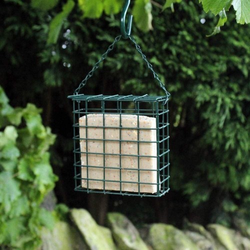 Suet cake bird feeder - cake,