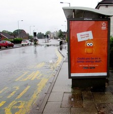 Photo 6x4 Zingy portrayal on