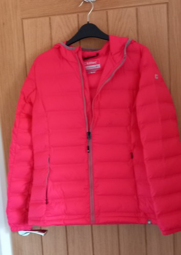 Ladies padded jacket - ladies, hood