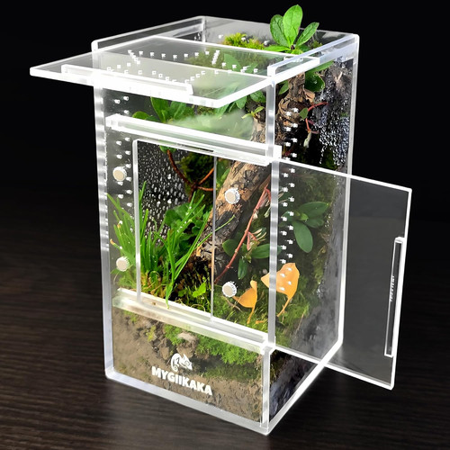 Jumping spider enclosure - spider,