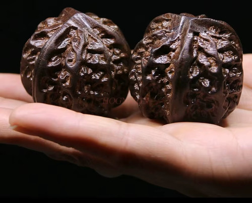 Solid walnut agave - solid,
