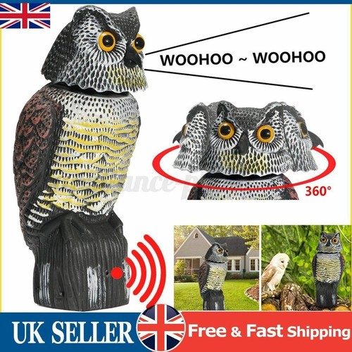 Large realistic owl - realistic, decoy