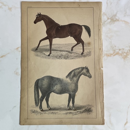 Antique book engraving - book, hand