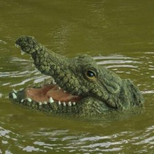 Floating Crocodile head Garden Pond Feature Reptile Alligator Animal Ornament