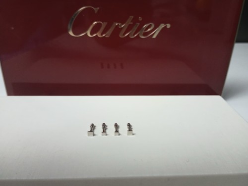 Cartier sunglasses screws - screws, 1