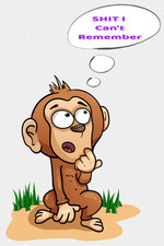 SHIT I Can't Remember