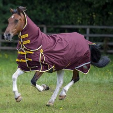 Gallop TROJAN Xtra Duraproof