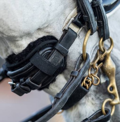 Lemieux simuwool noseband - lemieux,