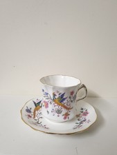 HAMMERSLEY Bird of Paradise