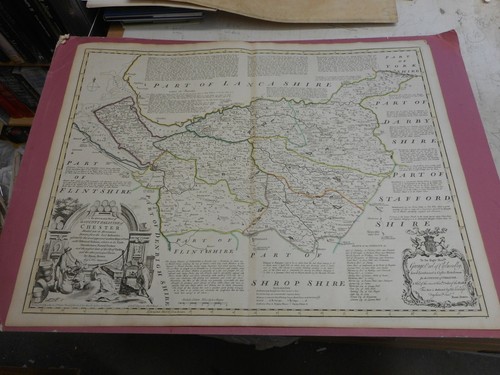 100 original large cheshire - 100%,