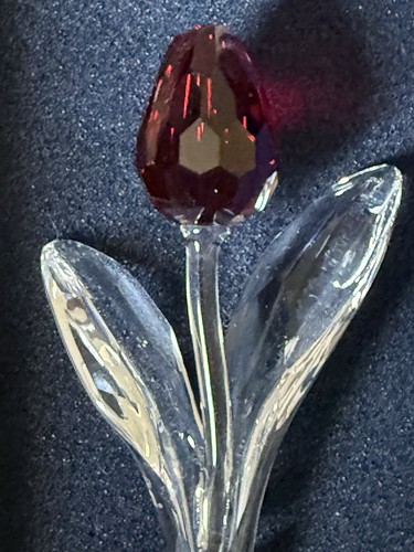Swarovski scs renewal gift - renewal,