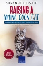 Raising a Maine Coon Cat –