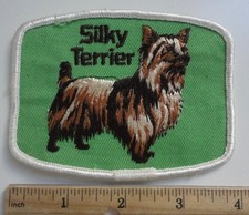 Vintage SILKY TERRIER Dog Show