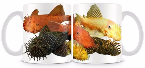 Bristlenose fish mug bushy - bristlenose,