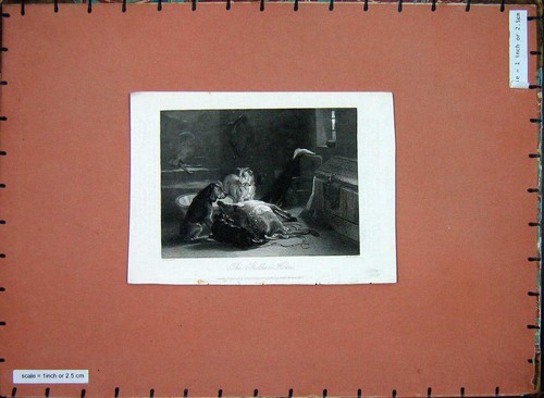 Original old antique print - original,
