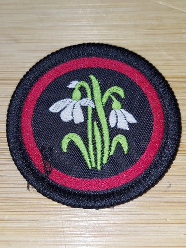 Girlguiding girl guides - uk,