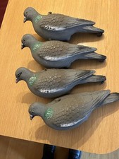 Sport Plast Pigeon Decoys x 4 in Good Used Condition