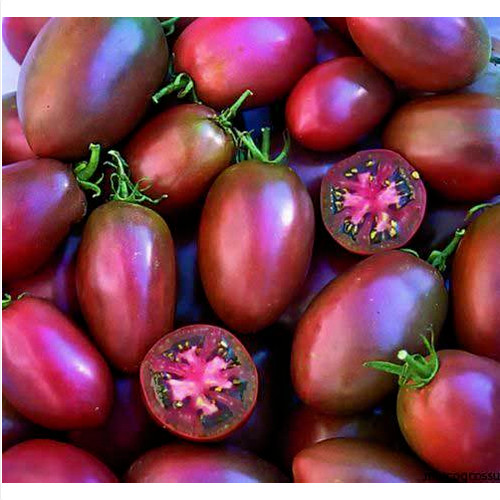 Ukrainian purple tomato - 15,