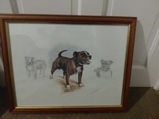 Nigel Hemmings Staffordshire Bull Terrier Signed Framed Print