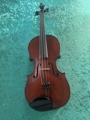 Violin maidstone full size - full,